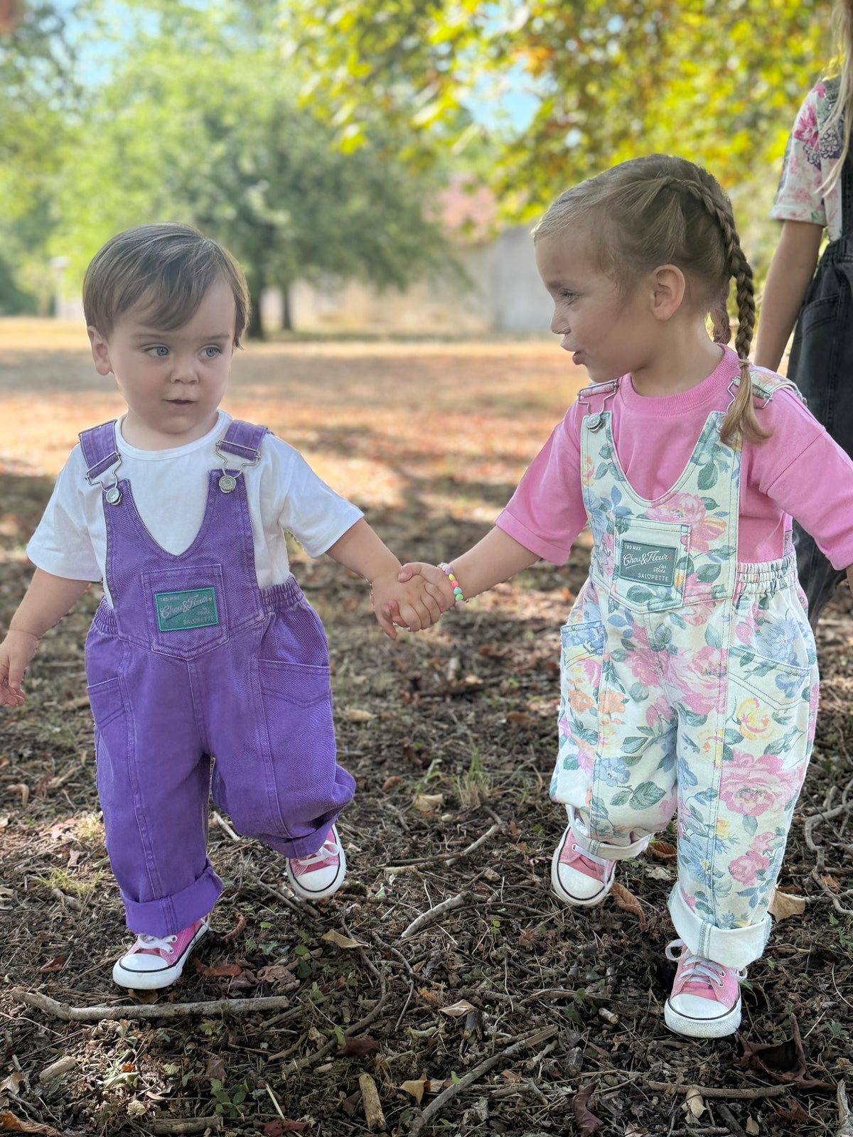 Rocky Violet