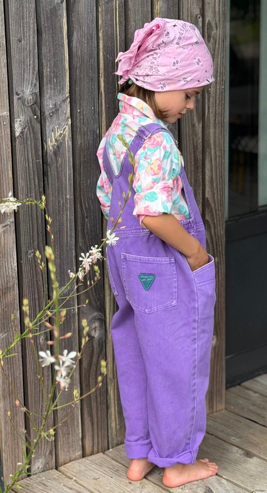 Rocky Violet