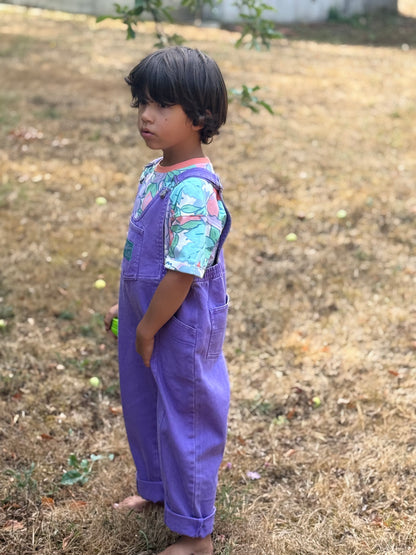 Rocky Violet